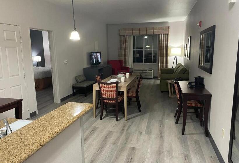 استودیو استاندارد با تخت کینگ, Country Inn & Suites By Radisson, College Station, Tx