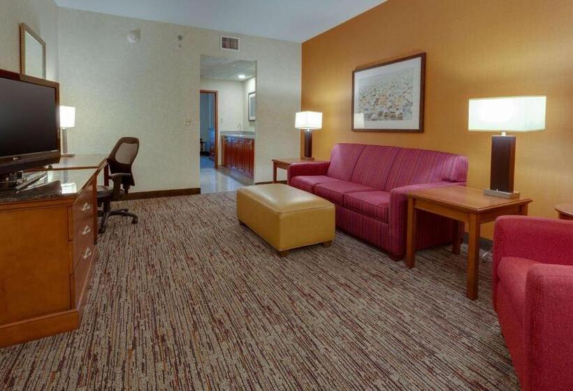 带大床的套房, Drury Inn & Suites Baton Rouge