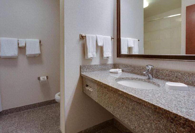 套房, Drury Inn & Suites Baton Rouge