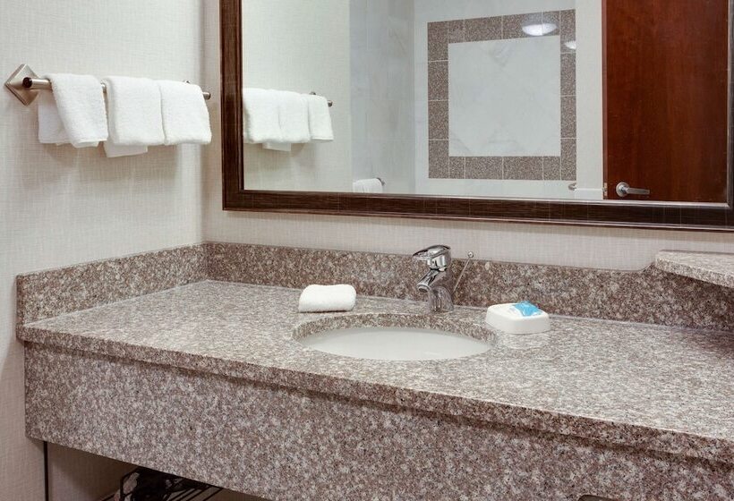 Номер Deluxe Адаптированный для Инвалидов, Drury Inn & Suites West Des Moines