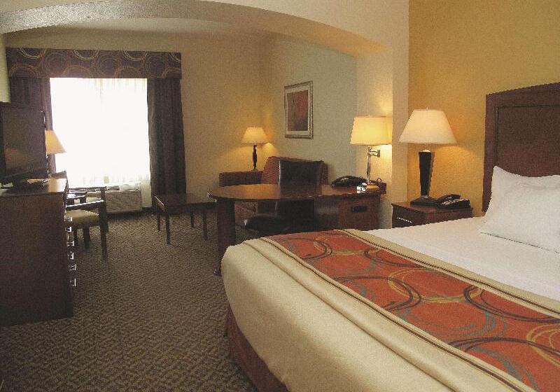 اتاق لوکس با تخت بزرگ, La Quinta By Wyndham Lawton / Fort Sill