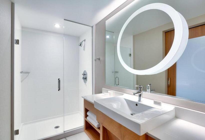 Люкс, Springhill Suites By Marriott Salt Lake City Draper