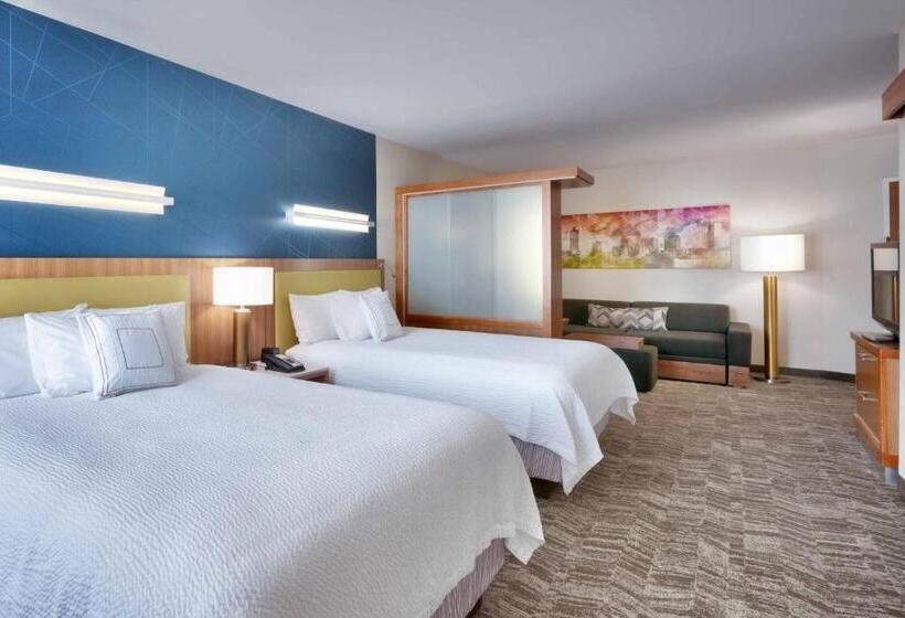 Люкс Адаптированный для Инвалидов, Springhill Suites By Marriott Salt Lake City Draper