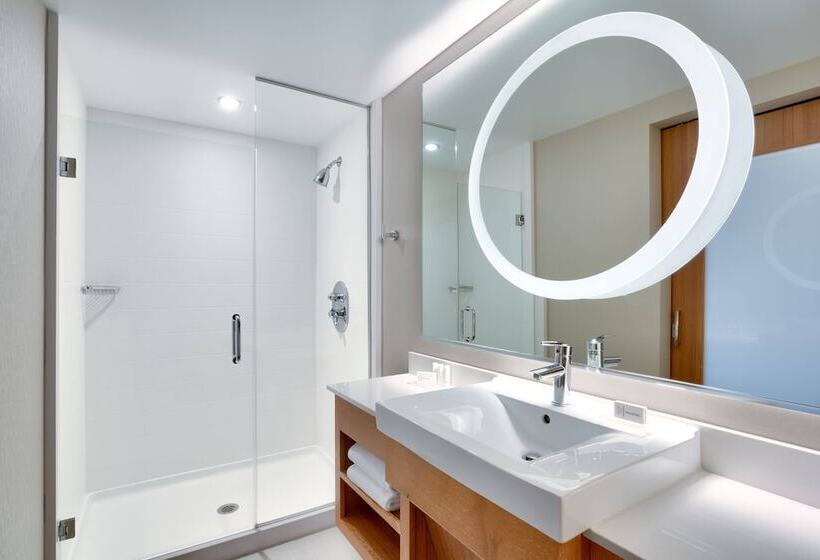 Люкс Адаптированный для Инвалидов, Springhill Suites By Marriott Salt Lake City Draper