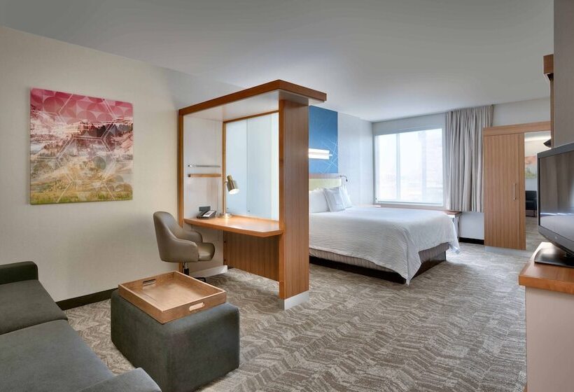 Люкс Адаптированный для Инвалидов, Springhill Suites By Marriott Salt Lake City Draper