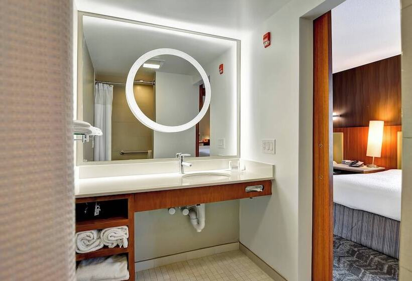 스탠다드 스튜디오, Springhill Suites By Marriott Columbia Fort Meade Area