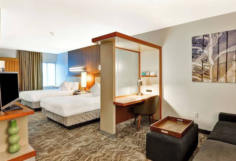 스탠다드 스튜디오, Springhill Suites By Marriott Columbia Fort Meade Area