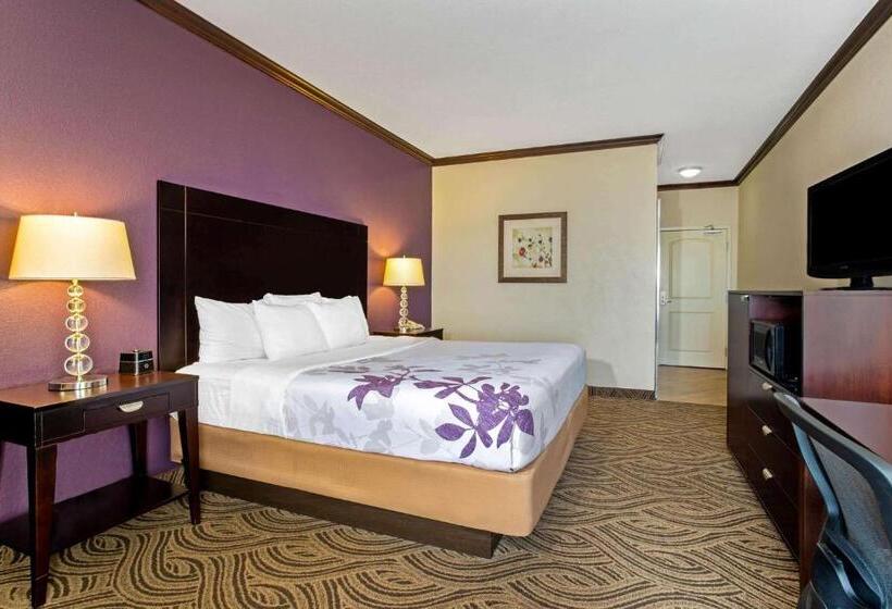 Номер Стандарт Кровать Кинг Адаптированный для Инвалидов, La Quinta Inn & Suites By Wyndham Ft Worth Burleson