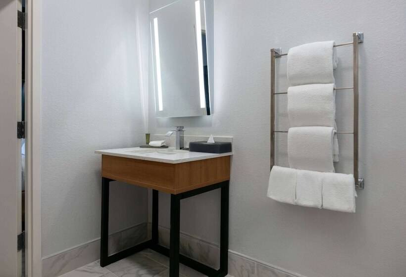 Люкс Адаптированный для Инвалидов, La Quinta Inn & Suites By Wyndham Ft Worth Burleson