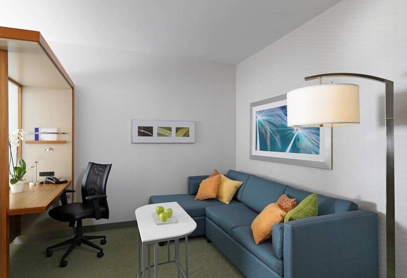 스위트, Springhill Suites By Marriott Scranton Montage Mountain