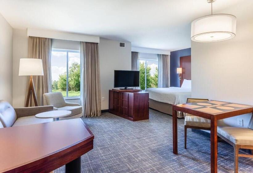 带大床的标准工作室, Residence Inn Duluth