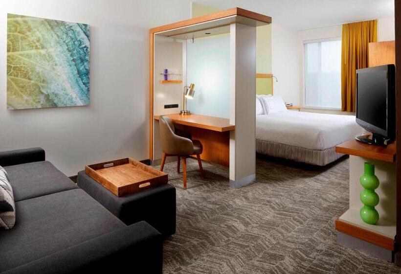 带大床的标准工作室, Springhill Suites By Marriott Pittsburgh Bakery Square