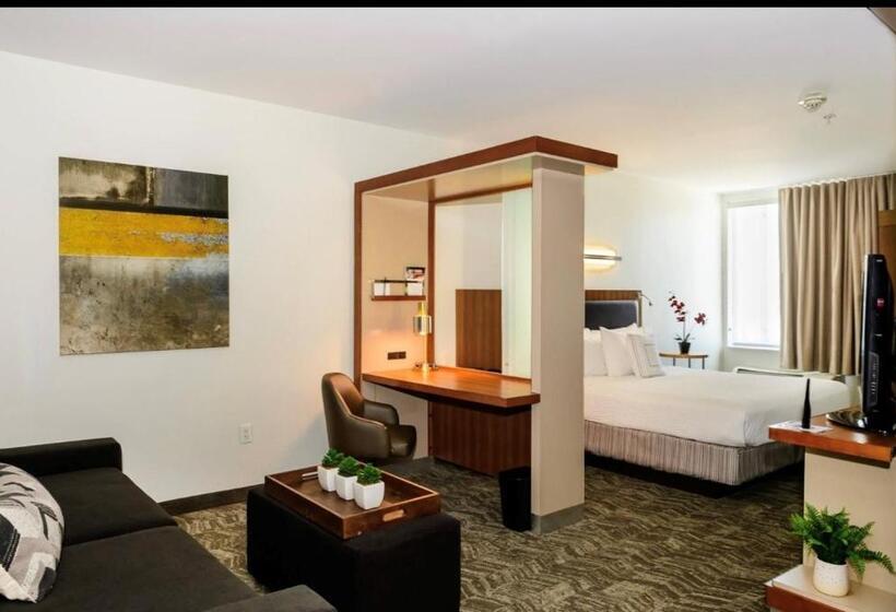 Студио Стандарт Кровать Кинг, Springhill Suites Houston Nasa/seabrook