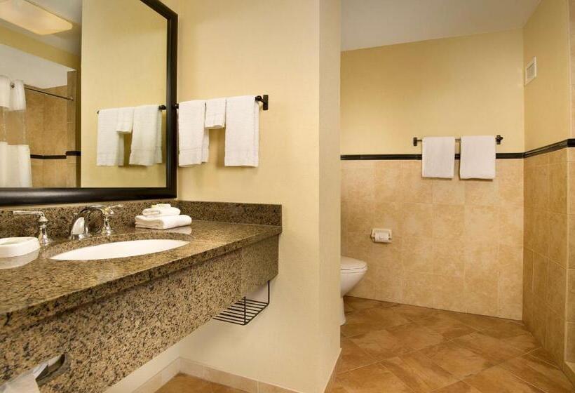 Стандартный Номер Кровать Кинг, Drury Plaza Hotel San Antonio North Stone Oak