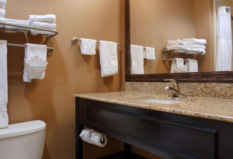 스탠다드 룸 킹사이즈 침대, Best Western Plus College Park