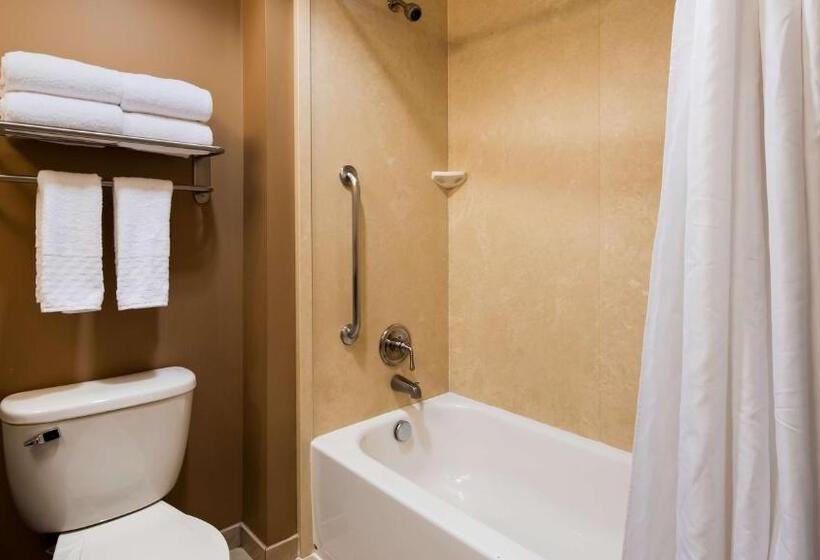 스탠다드 룸 킹사이즈 침대, Best Western Plus College Park