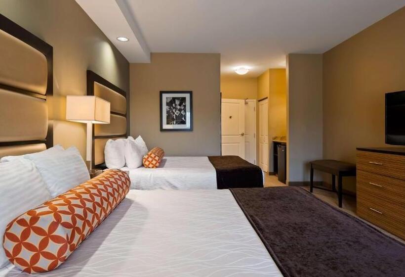스탠다드 도시전망 룸, Best Western Plus College Park