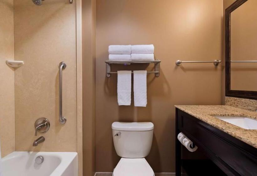 스탠다드 도시전망 룸, Best Western Plus College Park