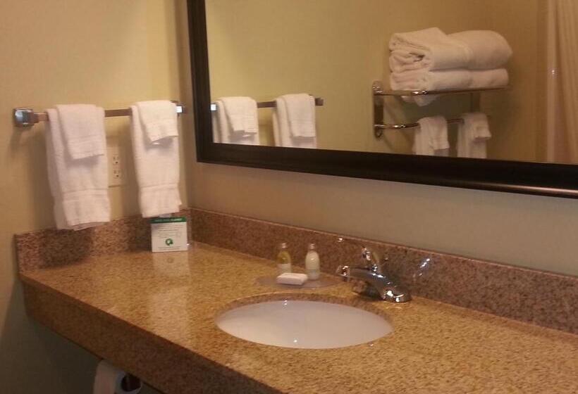 스탠다드 룸 킹사이즈 침대, Cobblestone Inn & Suites  Bloomfield