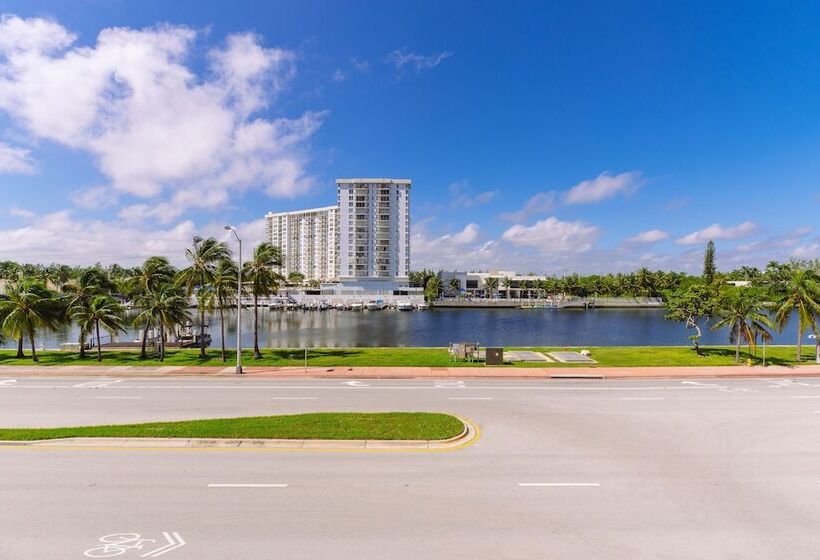 标准间, Notebook Miami Beach