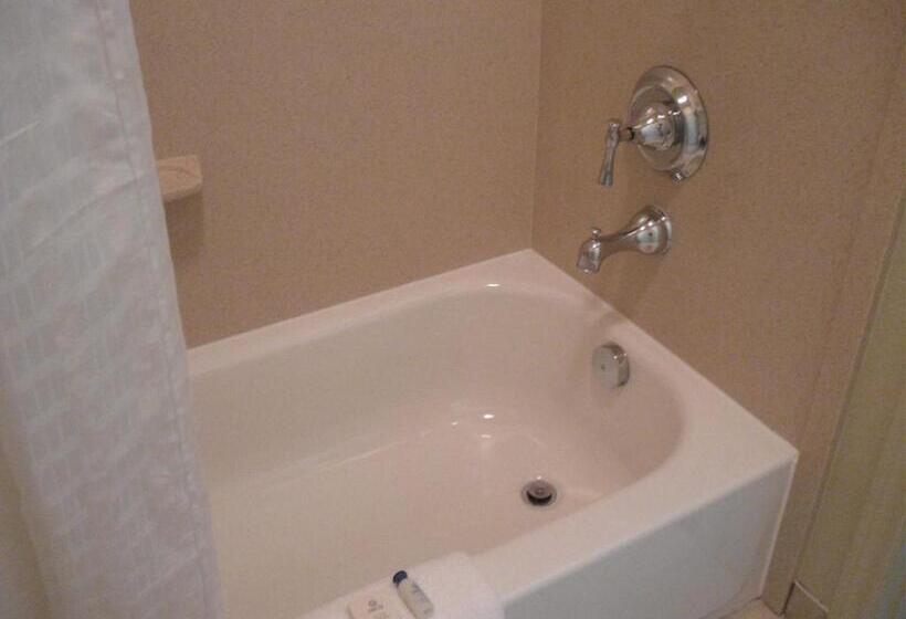 套房, Executive Inn & Suites Joaquin