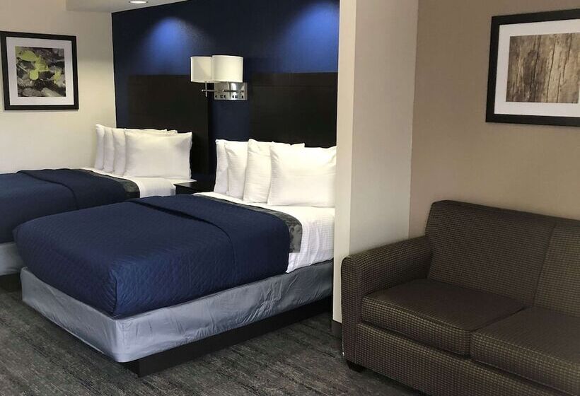 套房, Executive Inn & Suites Joaquin