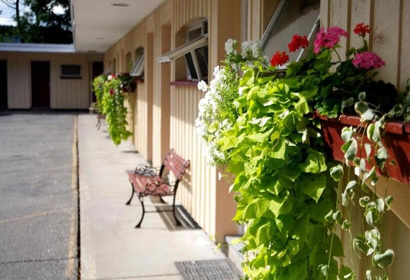 Стандартный Номер Кровать Кинг, Sunset Motor Inn