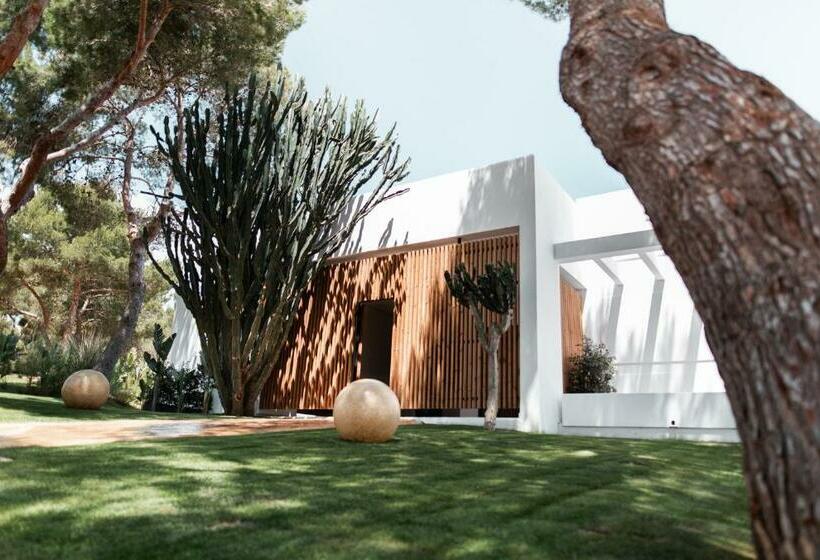 Вилла с 1 спальней и бассейном, Destino Pacha Ibiza