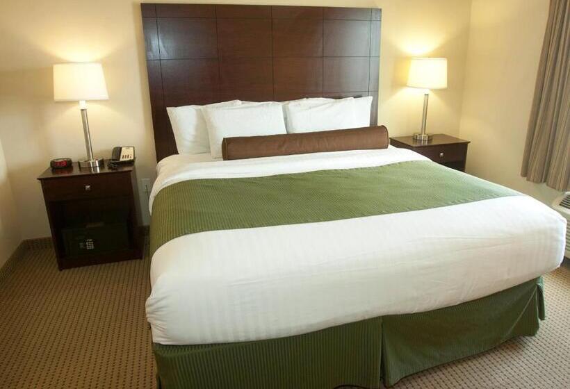 带大床的标准间, Cobblestone Inn & Suites   Langdon