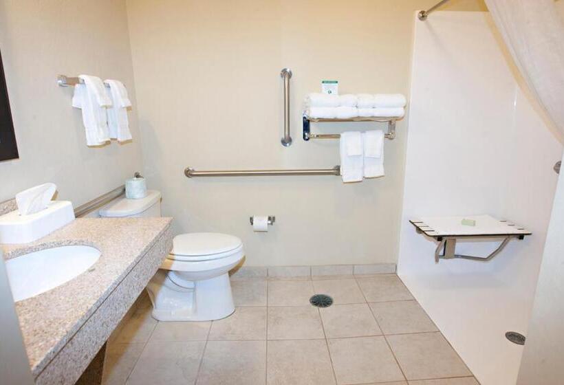 适合残疾人士使用的带超级大床的标准间, Cobblestone Inn & Suites   Langdon