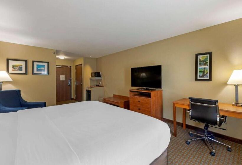 Стандартный Номер Кровать Кинг, Comfort Inn & Suites Marion I57