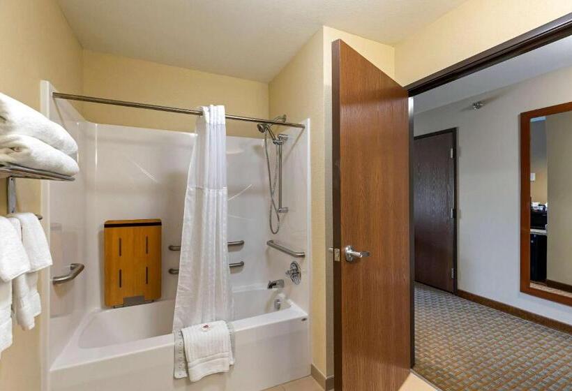 Номер Стандарт Адаптированный для Инвалидов, Comfort Inn & Suites Marion I57