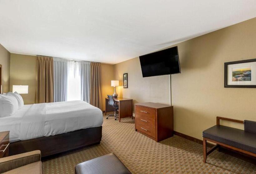 Люкс Адаптированный для Инвалидов, Comfort Inn & Suites Marion I57