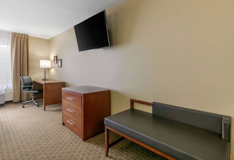 Люкс Адаптированный для Инвалидов, Comfort Inn & Suites Marion I57