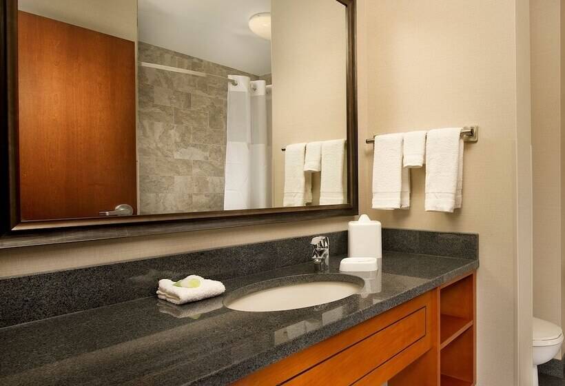 豪华房间, Drury Plaza Hotel Nashville Franklin