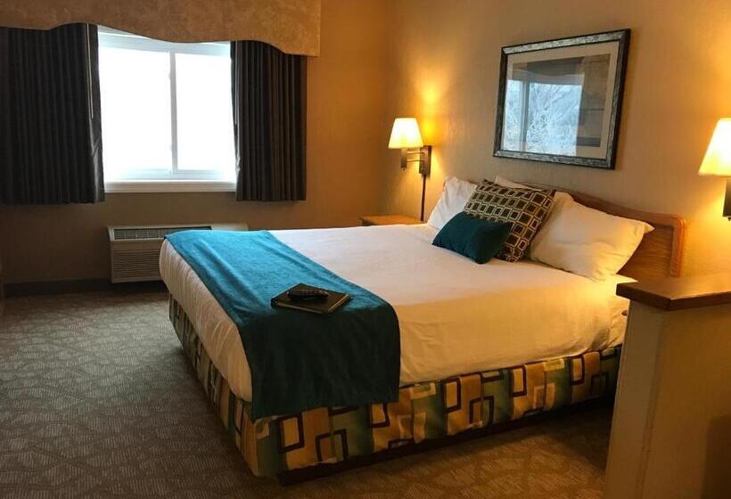 带大床的套房, Everspring Suites