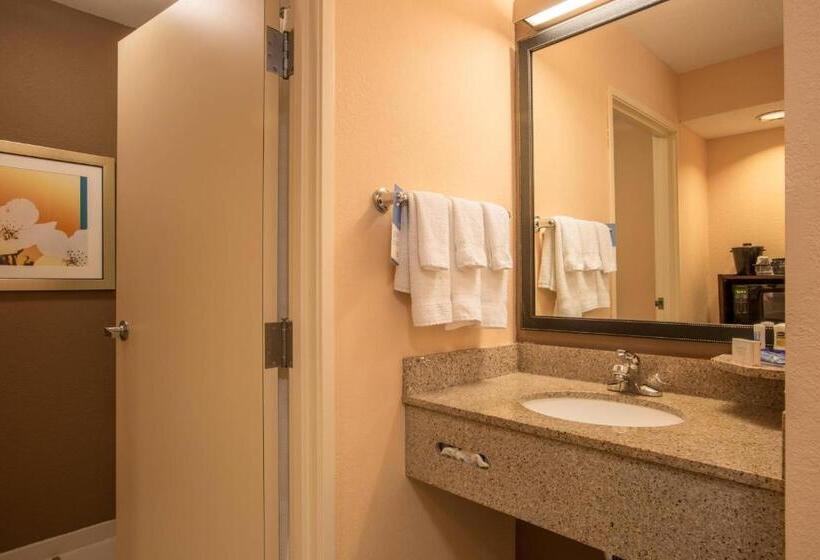 スタンダードルーム, Fairfield Inn & Suites By Marriott Columbus