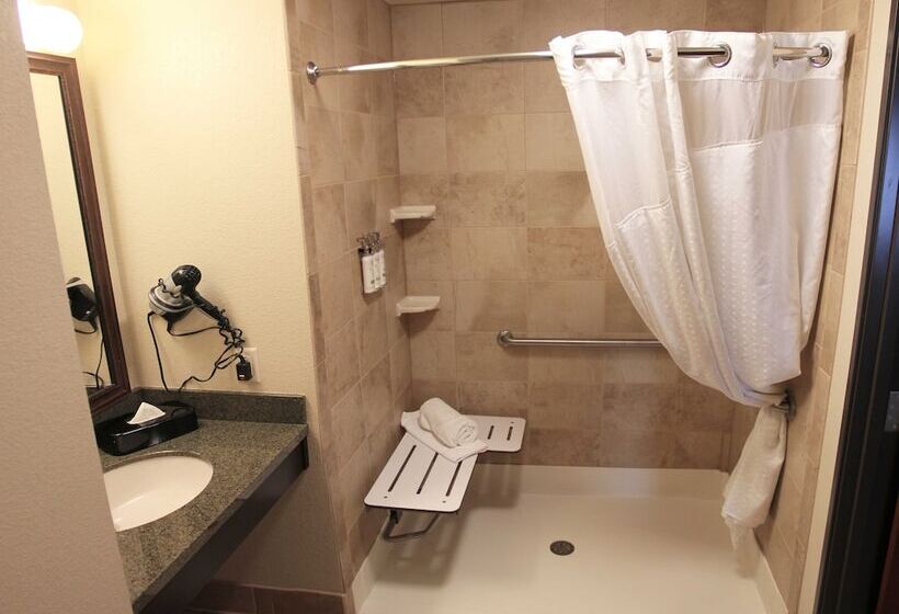 Люкс Адаптированный для Инвалидов, Holiday Inn Eau Claire South I 94, An Ihg