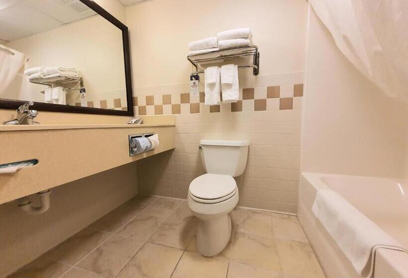 Номер Executive, Amerivu Inn And Suites  Waconia