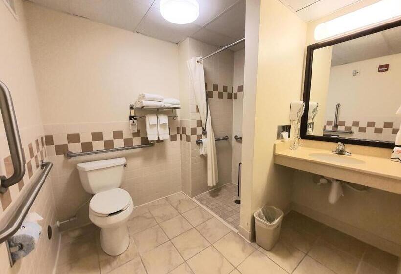 Номер Стандарт Кровать Квин Адаптированный для Инвалидов, Amerivu Inn And Suites  Waconia