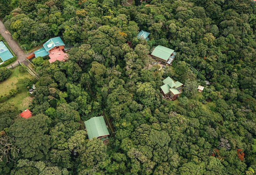 سوییت خانوادگی, Cala Lodge