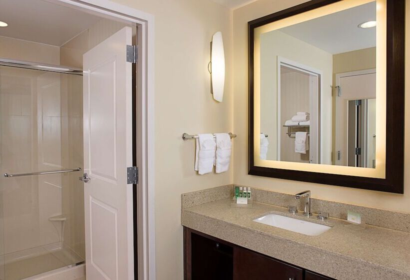 سوئیت 2 خوابه, Homewood Suites By Hilton Dallas Downtown, Tx