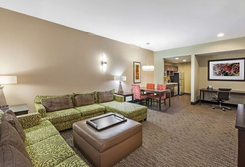 سوئیت 2 خوابه, Homewood Suites By Hilton Dallas Downtown, Tx