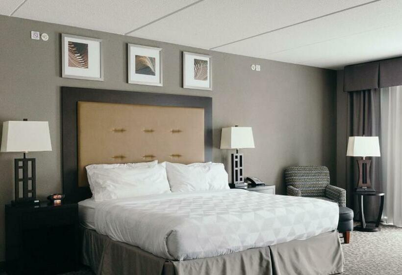 キングサイズベッドのスタンダードルーム, Holiday Inn And Suites East Peoria, An Ihg