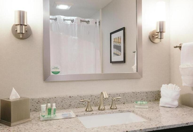 スタンダードルーム, Holiday Inn And Suites East Peoria, An Ihg