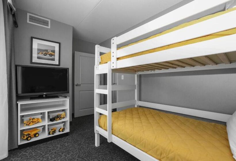 スイート（家族用）, Holiday Inn And Suites East Peoria, An Ihg