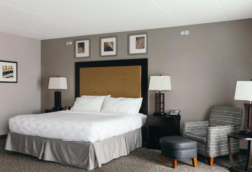 身障者適用キングサイズベッドルーム, Holiday Inn And Suites East Peoria, An Ihg