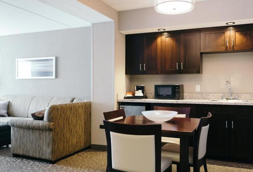 スタンダードルーム, Holiday Inn And Suites East Peoria, An Ihg
