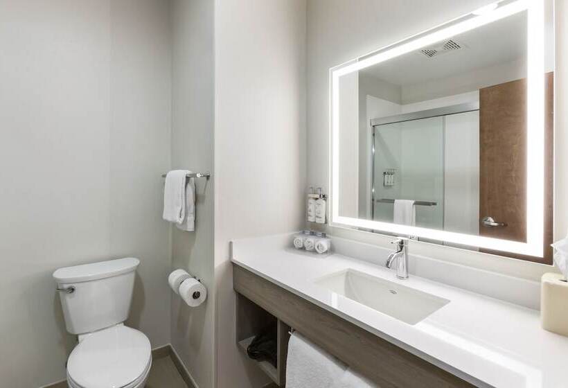 스탠다드 룸, Holiday Inn Express Belgrade Bozeman Area, An Ihg