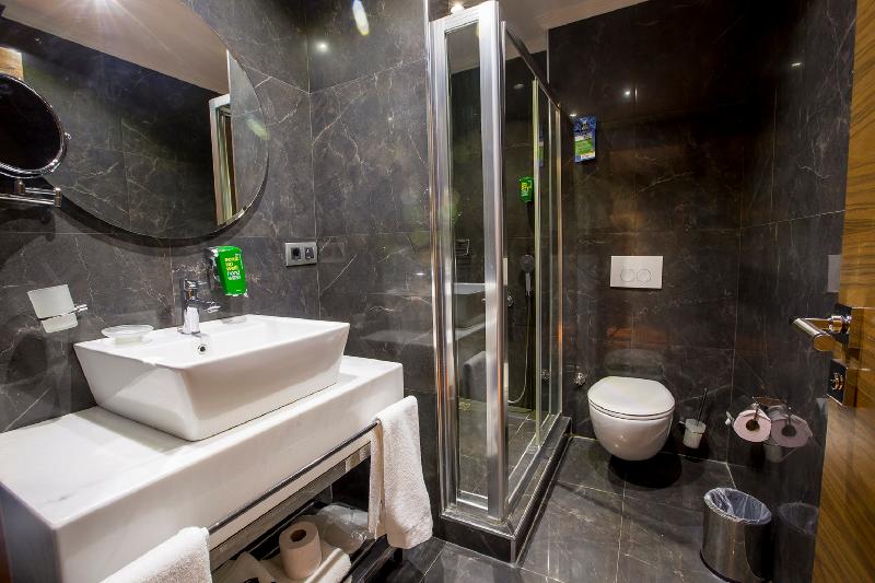 اتاق استاندارد, Park Inn By Radisson Istanbul Asia Kavacik